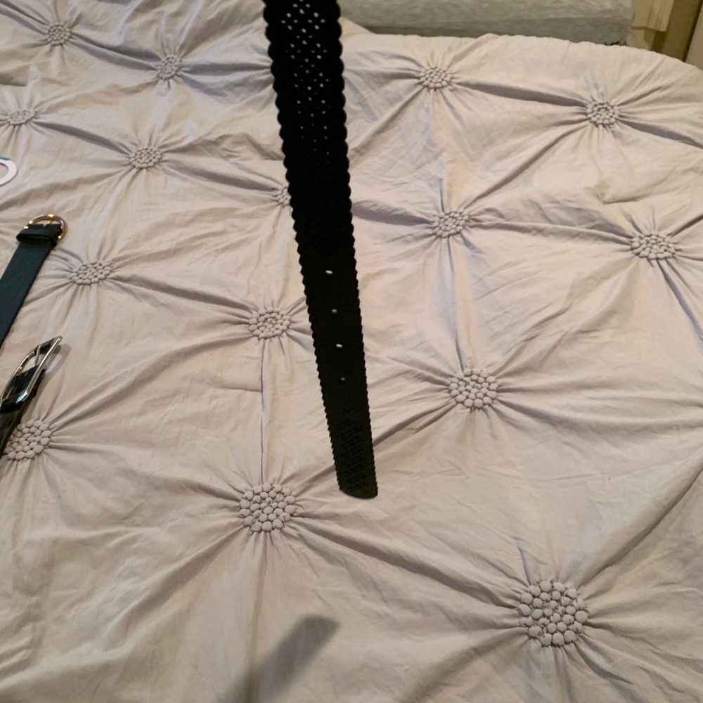Target Belt - Picture 2 of 3